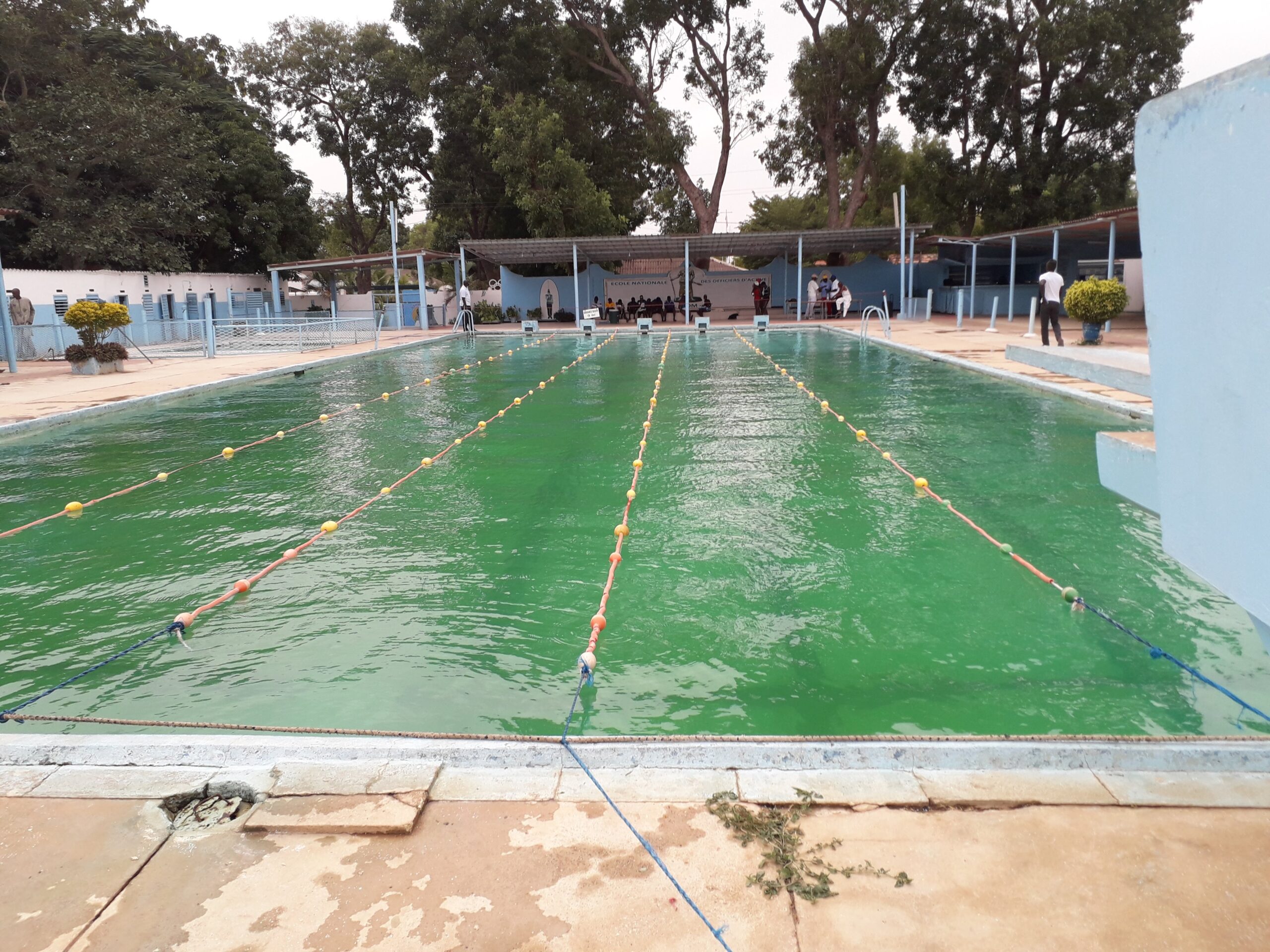 Gros plan sur la Piscine ENOA de Thiés